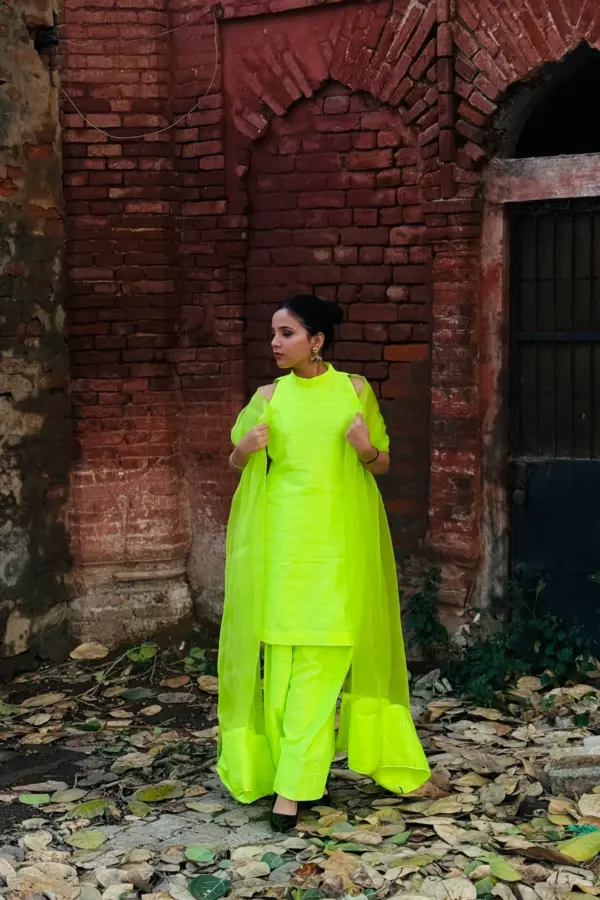 Neon-e-Rani