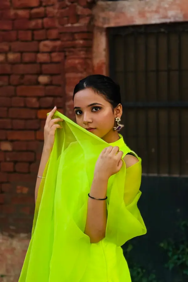 Neon-e-Rani - Image 2