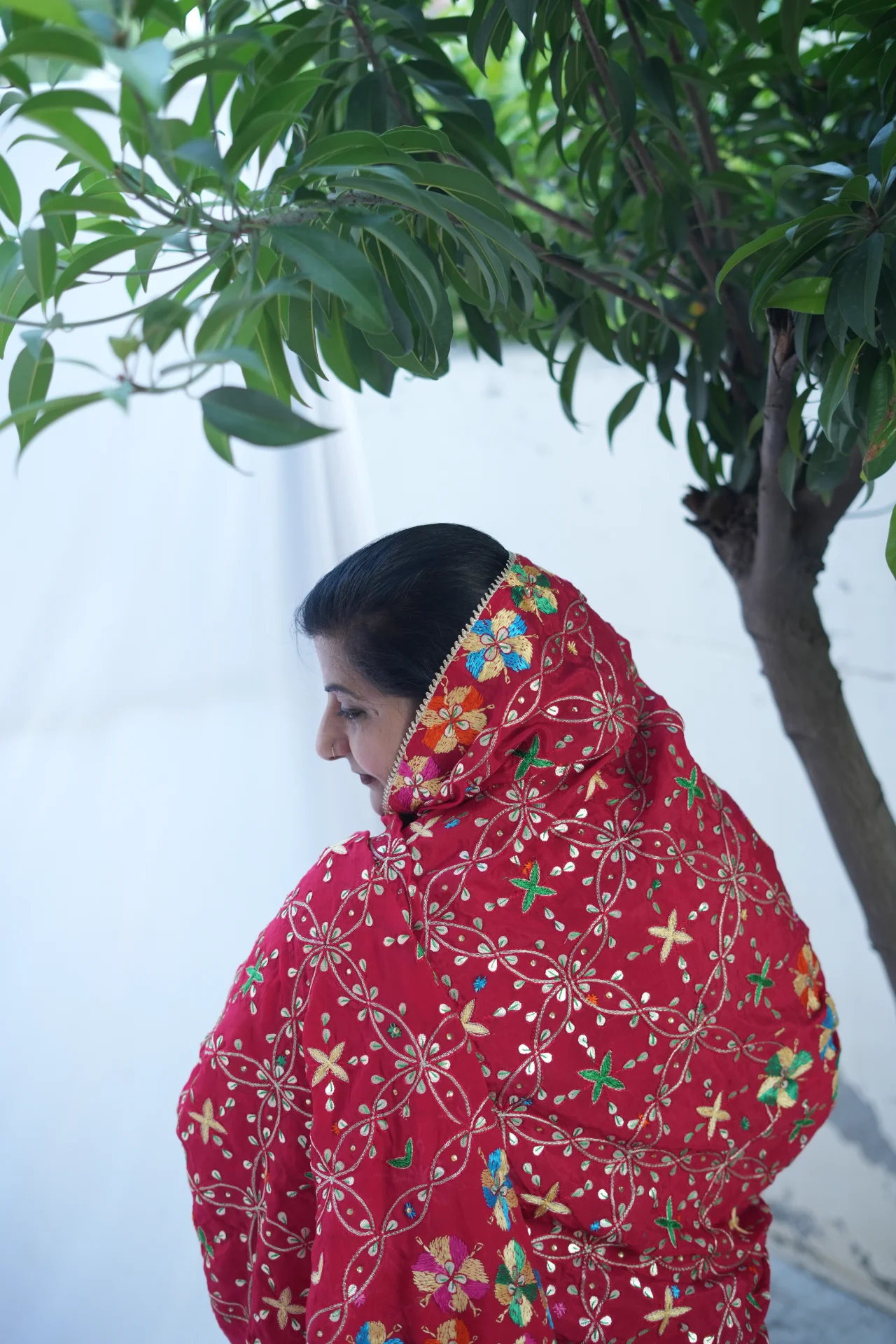 The Pippal-Pattiya Phulkari - Image 2